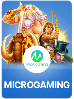 Banner-Microgaming